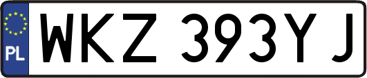 WKZ393YJ