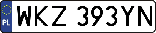WKZ393YN