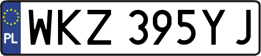 WKZ395YJ
