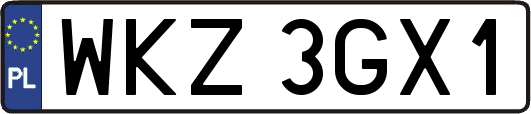 WKZ3GX1