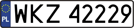 WKZ42229