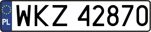 WKZ42870