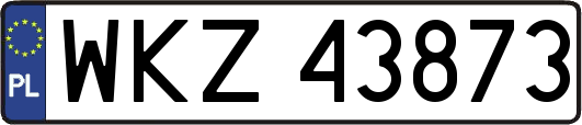 WKZ43873