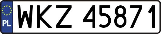 WKZ45871