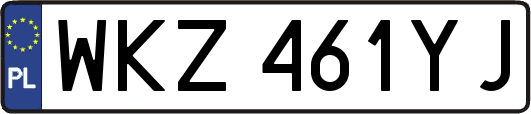 WKZ461YJ