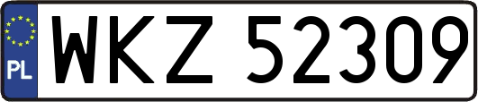 WKZ52309