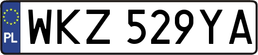 WKZ529YA