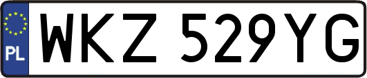 WKZ529YG