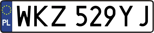 WKZ529YJ