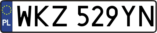 WKZ529YN