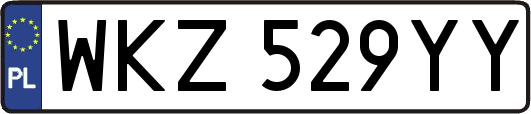 WKZ529YY