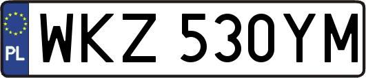 WKZ530YM