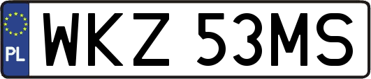 WKZ53MS