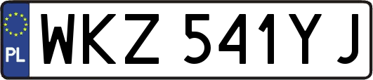 WKZ541YJ