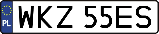 WKZ55ES