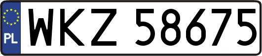 WKZ58675