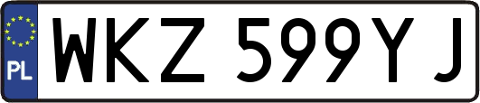 WKZ599YJ