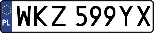 WKZ599YX