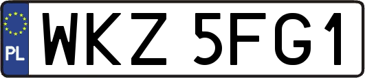 WKZ5FG1