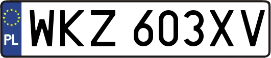 WKZ603XV