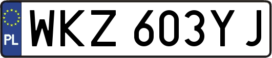 WKZ603YJ