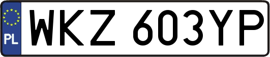 WKZ603YP