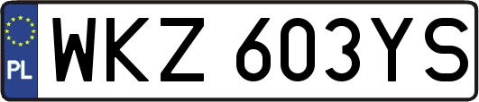 WKZ603YS