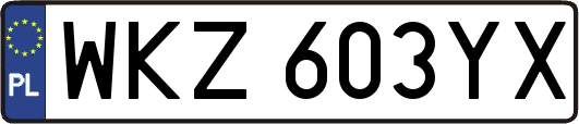 WKZ603YX
