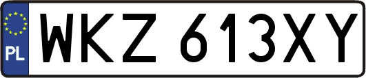 WKZ613XY