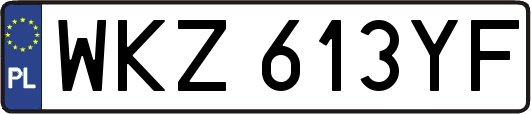 WKZ613YF