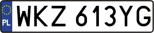 WKZ613YG
