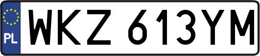 WKZ613YM