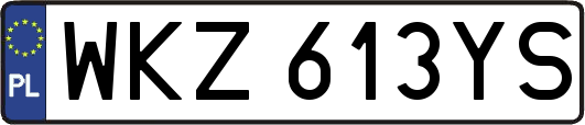 WKZ613YS