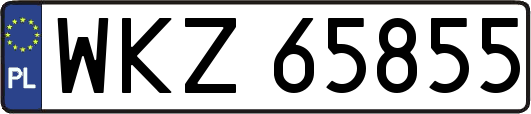 WKZ65855