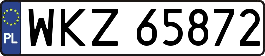 WKZ65872