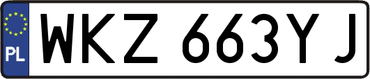 WKZ663YJ