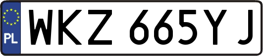 WKZ665YJ