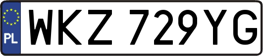 WKZ729YG