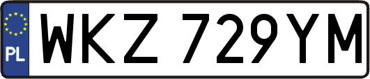 WKZ729YM