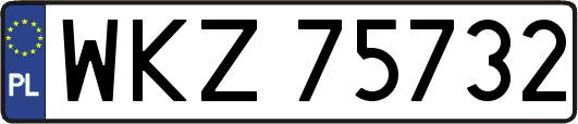 WKZ75732