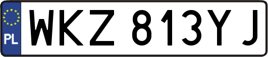 WKZ813YJ