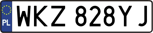 WKZ828YJ