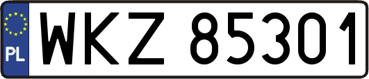 WKZ85301
