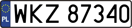 WKZ87340