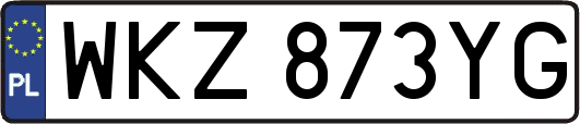 WKZ873YG