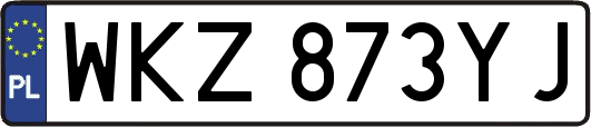WKZ873YJ