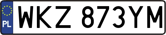 WKZ873YM