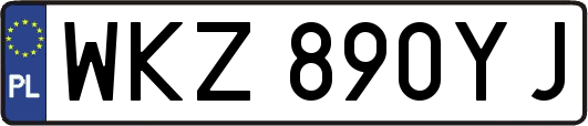 WKZ890YJ