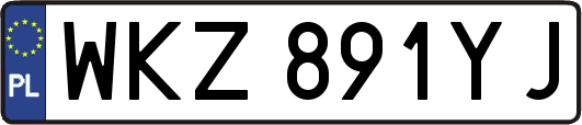 WKZ891YJ