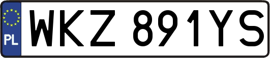 WKZ891YS